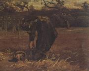 Vincent Van Gogh Peasant Woman Digging Up Potatoes (nn04) USA oil painting artist